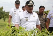 Bupati Lampung Selatan Tinjau Progres Program Petani Milenial
