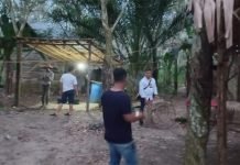 Polres OI Musnahkan Sarana Perjudian Sabung Ayam dan Dadu Guncang di Daerah Bakung