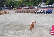 ASN Pemkab Lampung Selatan Diminta Terus Tingkatan Disiplin