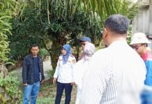 Dishub PALI Gandeng Perusahaan Besar Swasta Untuk Perbaikan Jembatan Ambles