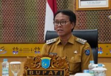 Pemkab OKI dan PLN Kejar Target Desa Berlistrik