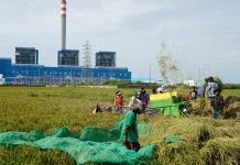 Tingkatkan Tata Kelola, PLN Sukses Turunkan Tingkat Risiko ESG