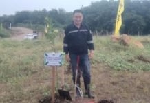 DLH PALI Lakukan Penanaman Pohon Serentak se-Sumsel