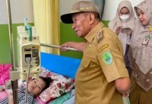 Kasus DBD di PALI Meningkat, Wabup Soemarjono Turun Gunung