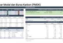Perkembangan Pasar Modal dan Bursa Karbon Saat Ini