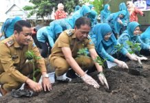 Tim Penggerak PKK OKI Tanam 250 Bibit Cabai