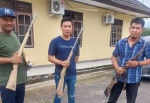 Polsek Mesuji Terima Serahan Tiga Pucuk Senpira dari Warga