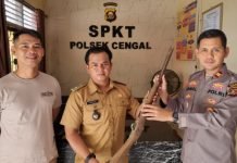 Untuk Kesekian Kalinya, Polsek Cengal Terima Serahan Senpira