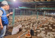 Tarif Listrik April-Juni 2024 Tetap, Pemerintah Perhatikan Daya Beli Masyarakat dan Dukung PLN Jaga Mutu Pelayanan