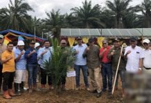KUD Subur Makmur dan KUD Madya Karya Bhakti Binaan PT Sampoerna Agro Tanam Perdana Kebun Plasma
