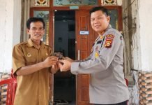 Kades Penanggoan Duren Serahkan Senpira ke Polsek Tulung Selapan