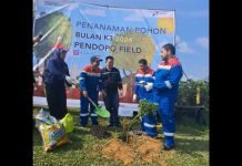 PT Pertamina EP Pendopo Field Bersama DLH PALI Gelar Kegiatan Penanaman Pohon