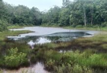 Pipa Minyak Milik Pertamina Kembali Bocor, Tumpah Cemari Sungai