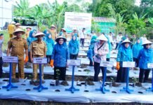 Peringati HKG ke-52, TP PKK Muba Ikut Lakukan Penanaman 500 Bibit Cabai Secara Virtual