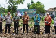 Penyuluh Pertanian se-OKI Tanam Ribuan Bibit Cabai Untuk Stabilkan Harga