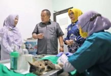 Gubernur Arinal Tinjau Vaksinasi Rabies dan Pemberian Vitamin Gratis
