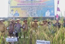 Bupati PALI Dorong Kemandirian Pangan di Desa Betung Barat Melalui Panen Perdana 2024