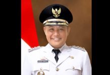 Jalan Nanang Ermanto Menuju Pilkada Lampung Selatan