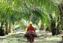 Waduh, 10 Perusahaan di OKI Dapat Predikat Proper Merah dari KLHK