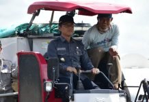 Dapat Manfaat Opla, Petani di OKI Bisa Panen Tiga Kali Setahun