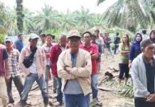 Warga Sungai Sodong Bantah Terlibat Penembakan Pekerja Kebun PT SWA