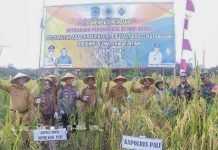 Bupati PALI Dorong Kemandirian Pangan di Desa Betung Barat