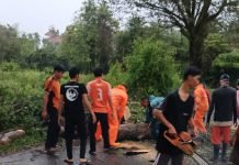 Respons Cepat BPBD Muba Tuntaskan Pohon Tumbang yang Ganggu Akses Jalan Praja Permai
