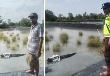 Warga Sungai Menang OKI Tangkap Buaya Sepanjang 4 Meter