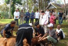 Perkokoh Silaturahmi, IKA FH Unila Potong 10 Hewan Kurban di Villa Bonset Pesawaran