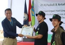 Peringati Hari Lingkungan Hidup, PLN Ajak Mahasiswa Gelar Aksi Bersih Pantai di Lampung