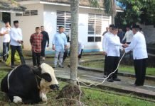 Kerahkan Personel Bhabinkamtibmas, Polda Sumsel Bagikan Daging Kurban Hingga ke Masyarakat Pelosok