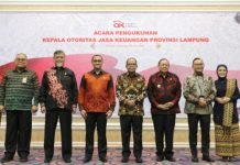 Otto Fitriyandi Jabat Kepala OJK Provinsi Lampung