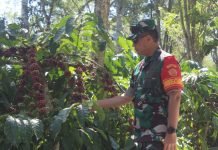 Danrem 043/Gatam Bersama Pangdam II/Sriwijaya Amankan Kunjungan Presiden di Lambar dan Tanggamus