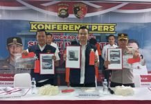Polda Sumsel Gagalkan Penyelundupan 37.804 Benih Lobster Asal Lampung ke Luar Negeri