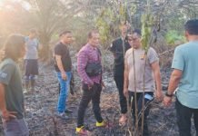 Bakar Lahan Sendiri, Kakek di Muratara Meregang Nyawa Akibat Terkepung Api