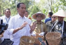 Dihadapan Pj. Gubernur Samsudin, Presiden Tekankan Dukungan Peningkatan Produktivitas Kopi di Lambar