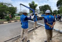 Pohon Tumbang Sebabkan Tiang Listrik Patah, PLN UID Lampung Gerak Cepat Normalkan Pasokan Listrik