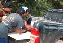 Bos Toko Bangunan Ditemukan Tewas di Jalan Poros Mesuji Raya OKI