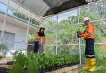 PT Agincourt Resources Tanam Ribuan Pohon dan Perluas Fasilitas Pembibitan Tanaman