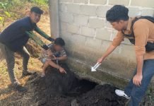 Aksi Nekat Nasro Curi Sarang Burung Walet Berhasil Diungkap Polisi