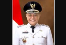 Jadi Kandidat Cabup dengan Popularitas dan Elektabilitas yang Cukup Tinggi, Nanang Ermanto Bakal Dijegal?