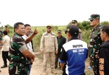Dandim 0402/OKI Dampingi Danrem 044/Gapo Tinjau Lokasi Program Opla Rawa di Cengal