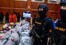 BNN Bersama Bea dan Cukai Ungkap Kasus Penyelundupan Ganja Thailand Jaringan Internasional