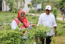 Pj. Gubernur Samsudin Ajak Masyarakat Ramaikan Wisata Edukasi Kebun PKK Agro Park Sabah Balau Lamsel