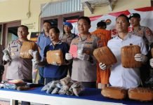 Jadi Bandar Narkoba, Pemuda Asal Sumsel Ditangkap Saat Transaksi di Pemakaman