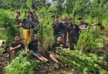 Ungkap Narkoba di Semester Pertama 2024, Polda Sumsel Selamatkan 2,2 Juta Jiwa