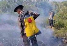 Dibantu Water Bombing, Tim Gabungan Penanggulangan Karhutla Berjibaku Padamkan Api di Indralaya Utara