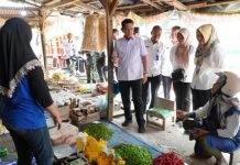 Pemkab Tubaba Lakukan Pemantauan Harga dan Ketersediaan Bahan Pokok