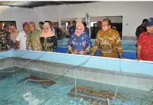Pj. Gubernur Lampung Buka FGD Optimalisasi Pengelolaan Benih Bening Lobster