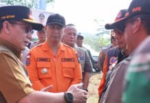 Tinjau Area Karhutla di Gelumbang, Pj. Bupati Muara Enim Siap Ikuti Arahan Kepala BNPB RI